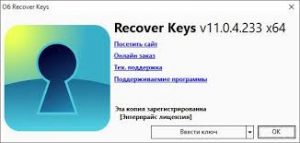 Recover Keys 11.0.4.233 Crack
