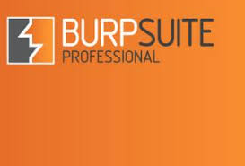 burp suite professional beta